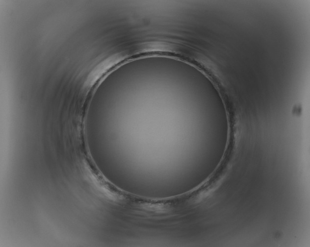 X0000112091121200908111346