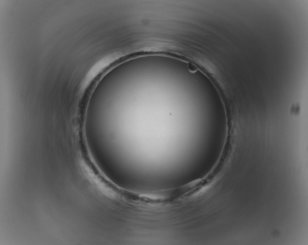 X0000112091122200908111346