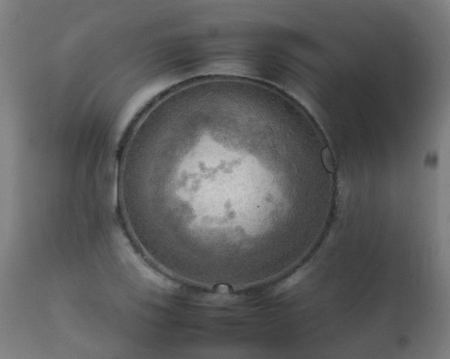 X0000112091123200908111346