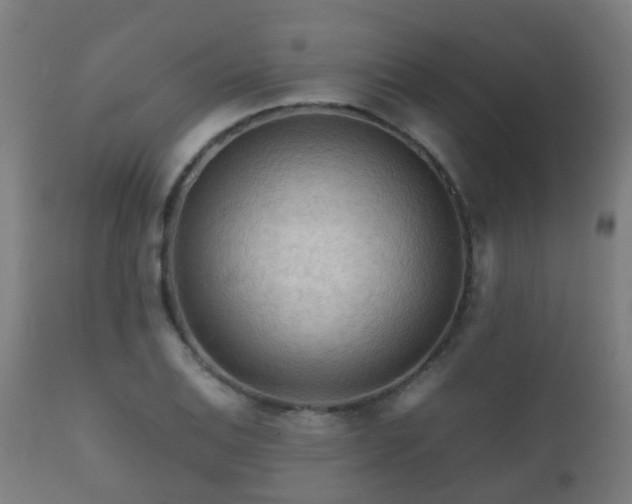 X0000112091124200908111346