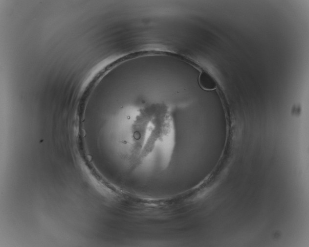 X0000112091125200908111346