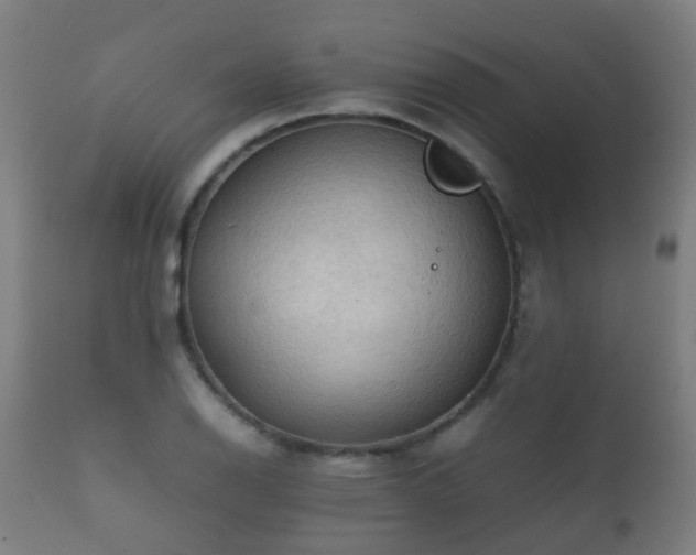 X0000112091126200908111346