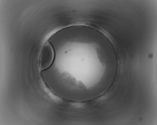 X0000112091127200908111346