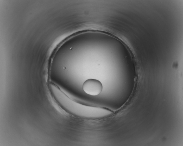 X0000112091128200908111346