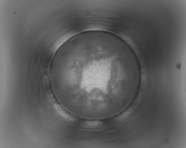 X0000112091129200908111346