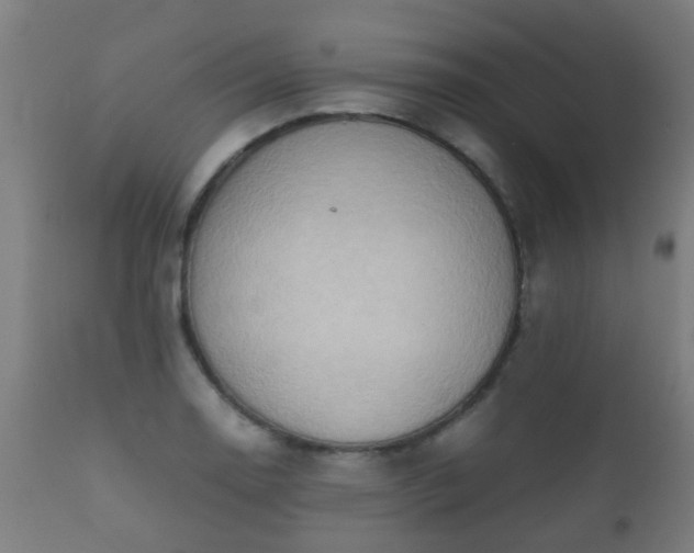 X0000112091130200908111346