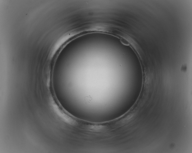 X0000112091131200908111346