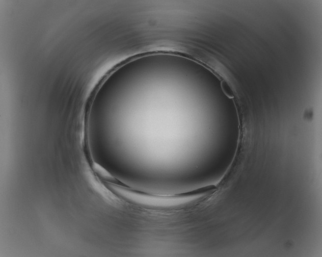 X0000112091132200908111346