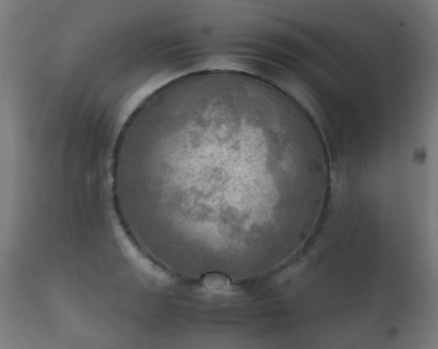 X0000112091133200908111346