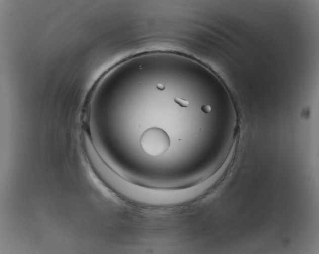 X0000112091134200908111346