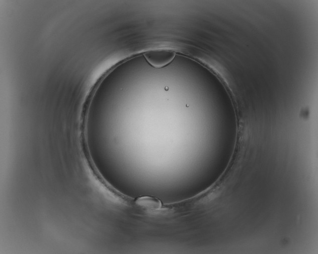 X0000112091135200908111346