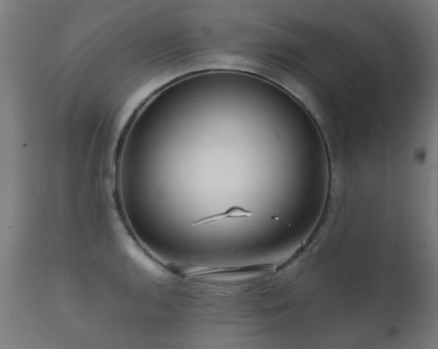 X0000112091136200908111346