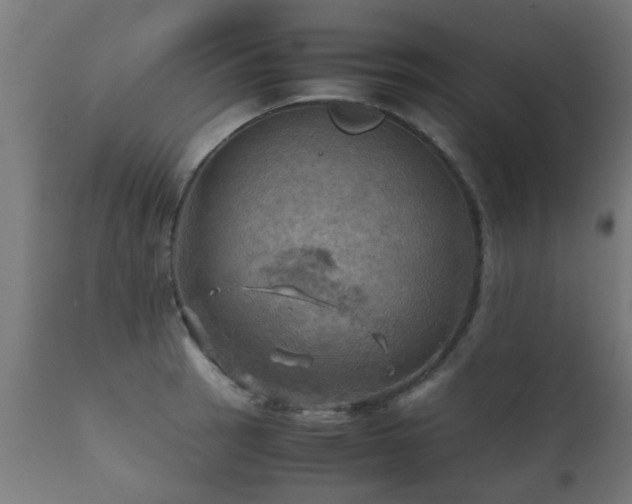 X0000112091137200908111346