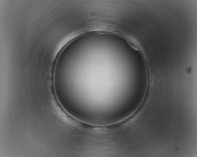 X0000112091138200908111346