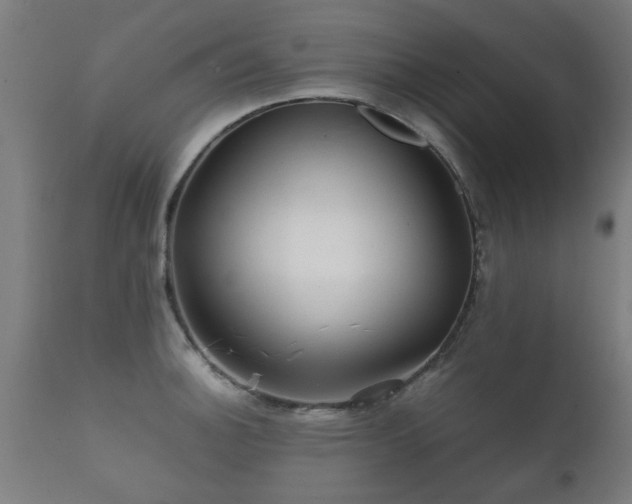 X0000112091140200908111346