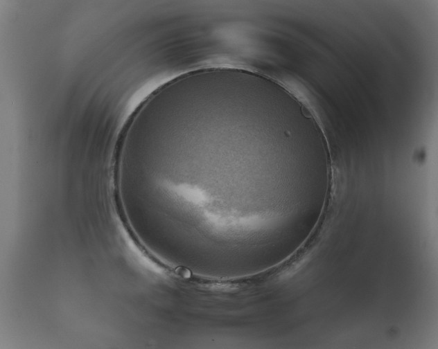 X0000112091141200908111346