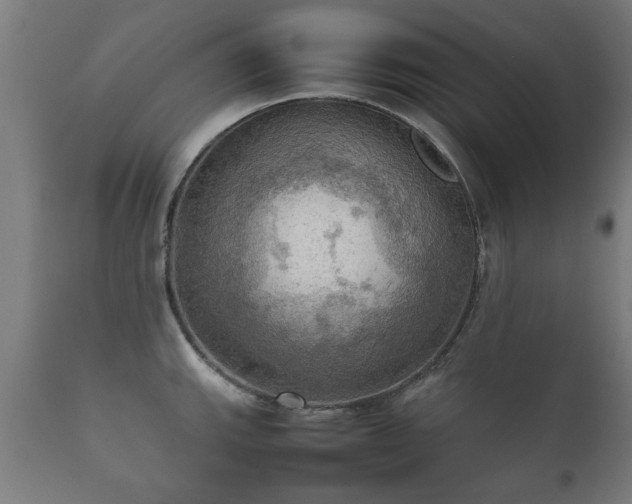 X0000112091143200908111346