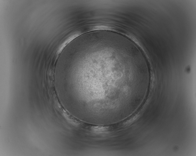 X0000112091145200908111346