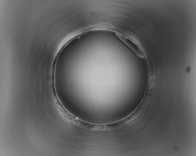 X0000112091146200908111346