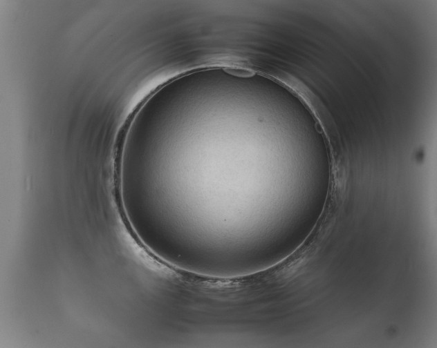 X0000112091147200908111346