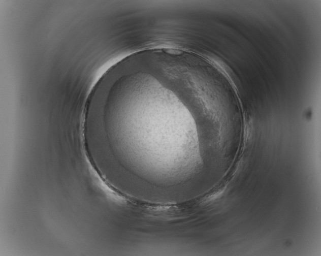 X0000112091149200908111346