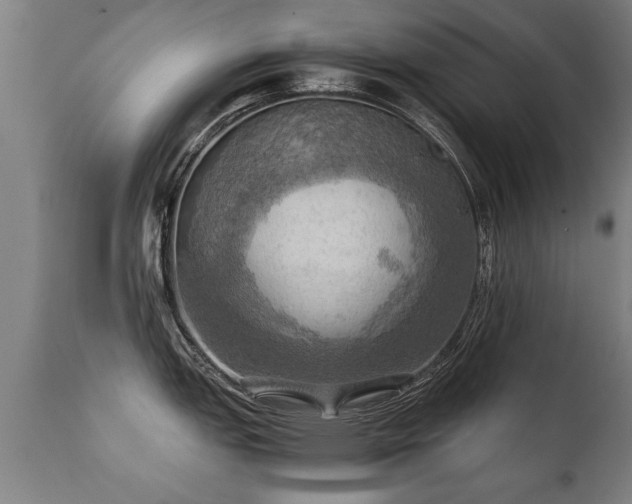 X0000112091151200908111347