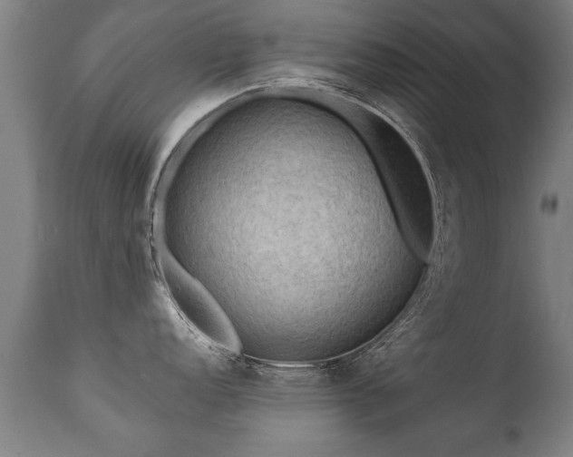 X0000112091152200908111347