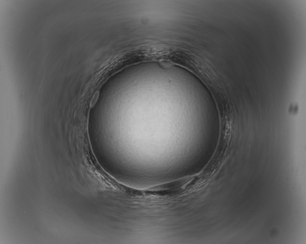 X0000112091153200908111346