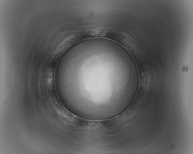 X0000112091154200908111346