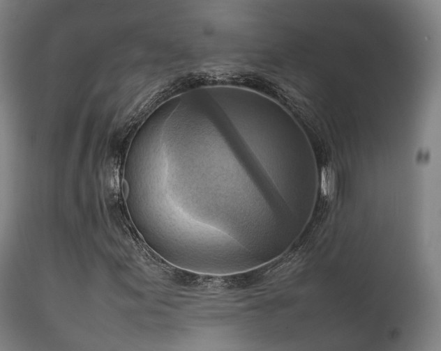 X0000112091155200908111346