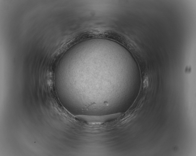 X0000112091156200908111346