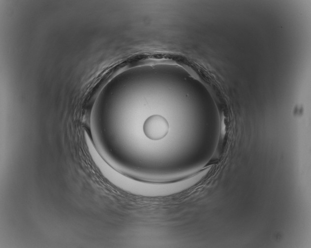 X0000112091157200908111346