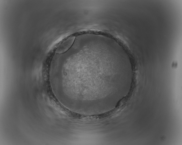 X0000112091159200908111346