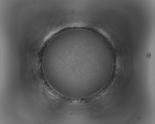 X0000112091160200908111346