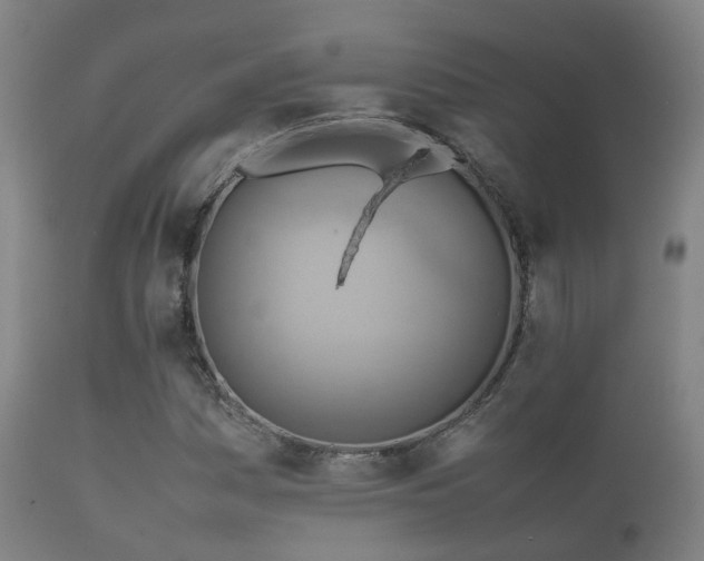 X0000112091161200908111346