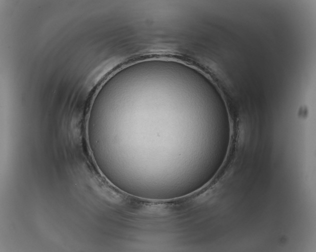 X0000112091162200908111346