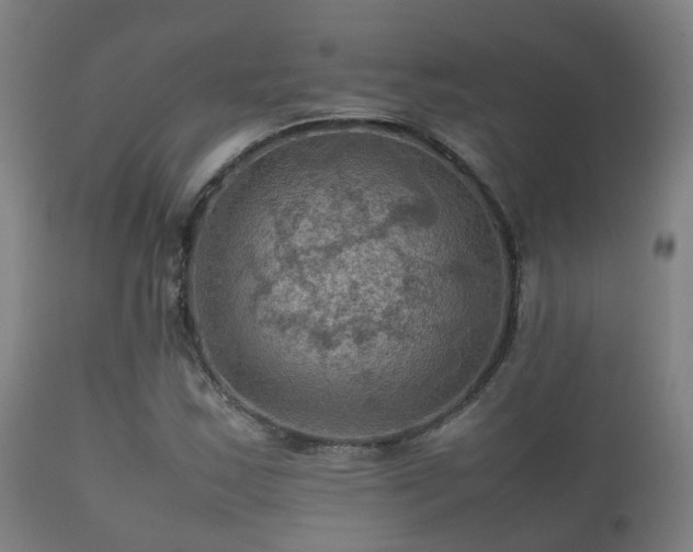 X0000112091163200908111345