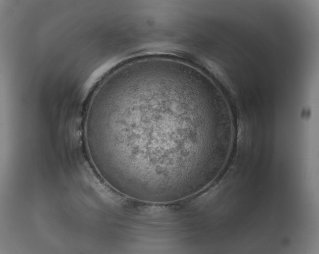 X0000112091164200908111345