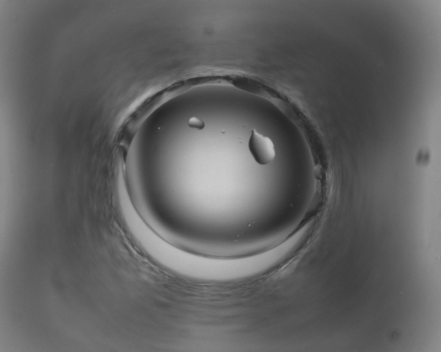 X0000112091165200908111345