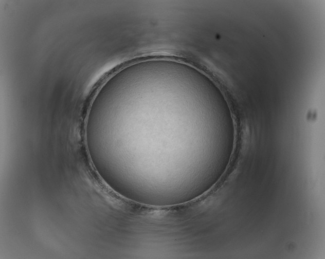 X0000112091166200908111345