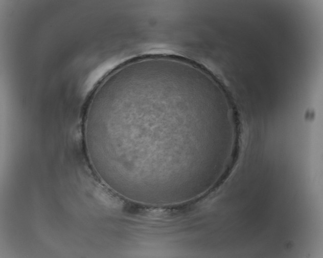 X0000112091167200908111345