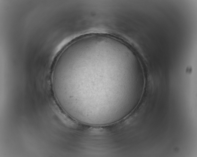 X0000112091168200908111345