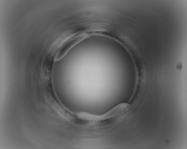 X0000112091169200908111345