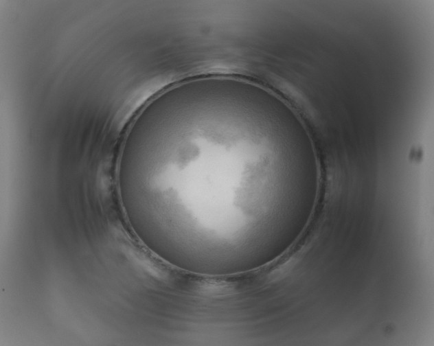 X0000112091170200908111345