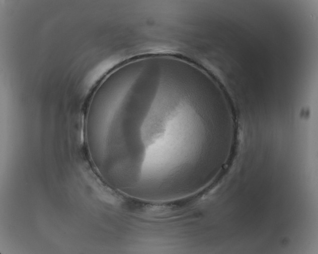 X0000112091171200908111345