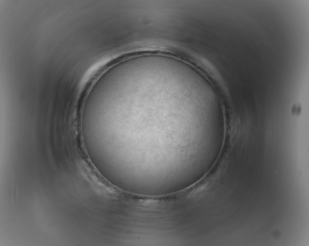 X0000112091172200908111345