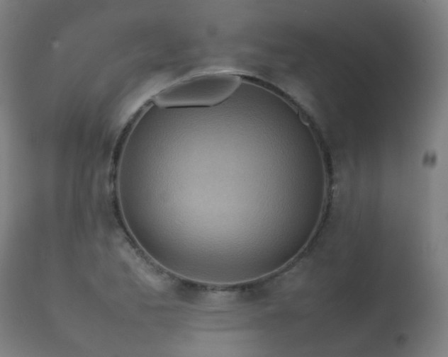 X0000112091173200908111345