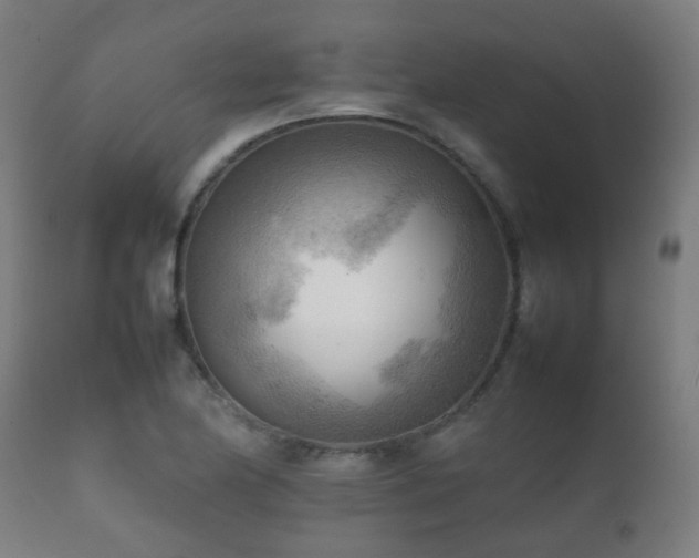 X0000112091174200908111345