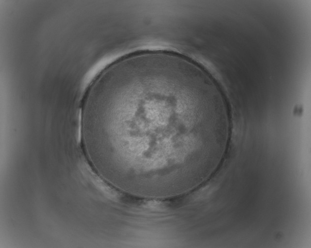 X0000112091175200908111345