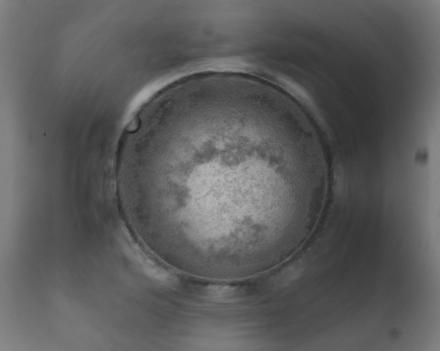 X0000112091176200908111345